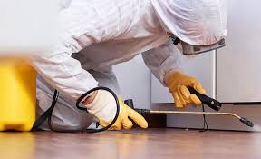 Best Real Estate Pest Inspections  in Rosanky, TX